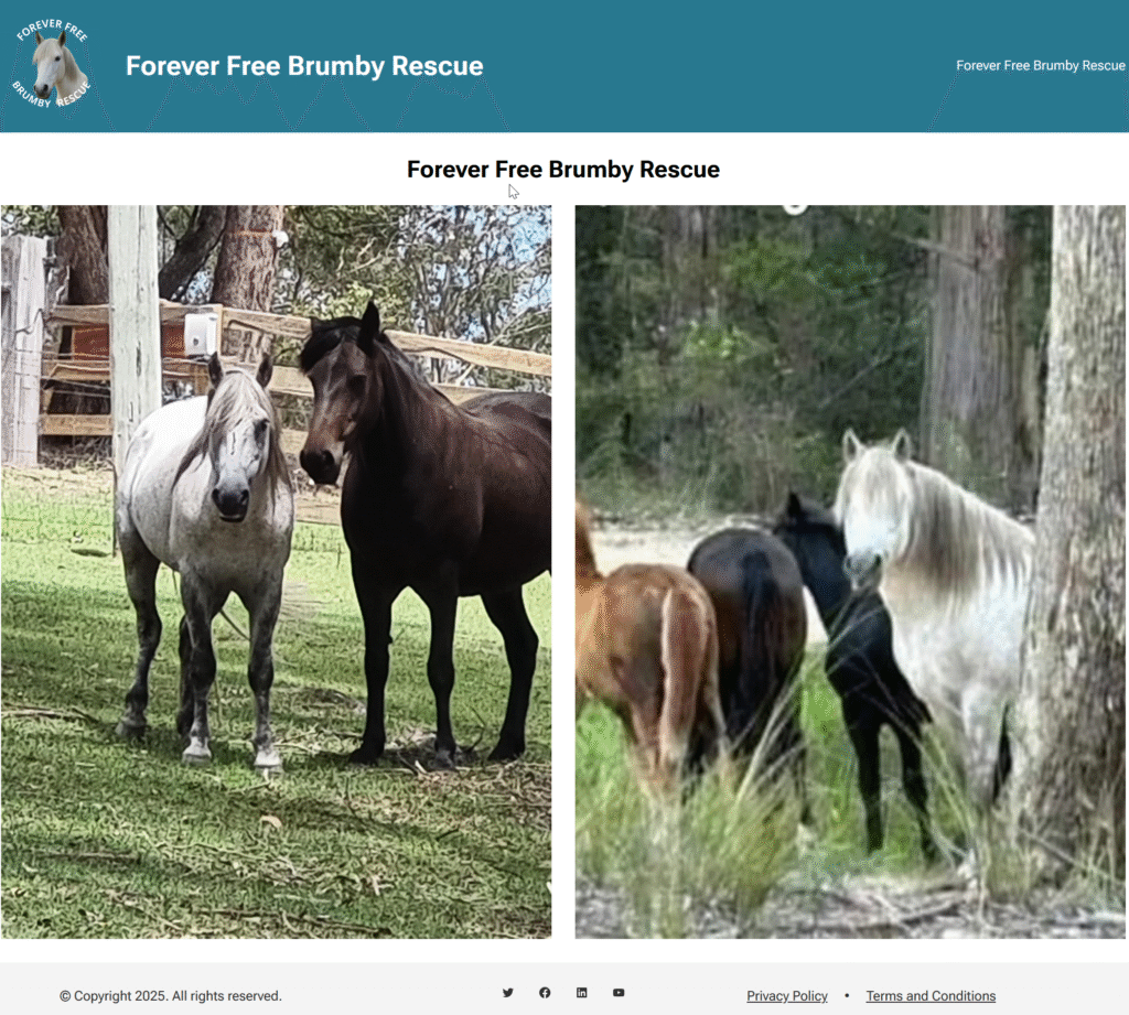 Donated our Skills to help Saving ANZAC Brumbies